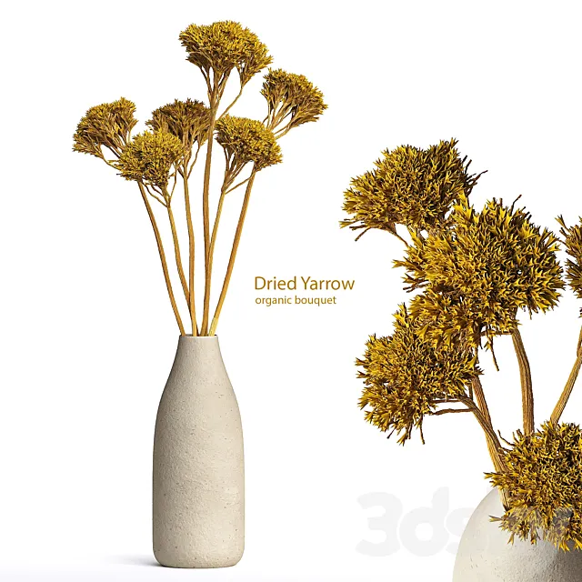 Dried Organic Bouquet Yarrow 3D Model Dried Organic Bouquet Yarrow 3D Model