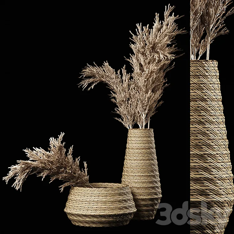 Dried Pampas Bouquet in Rattan Wicker Vases 3D Model Free Download Dried Pampas Bouquet in Rattan Wicker Vases 3D Model Free Download
