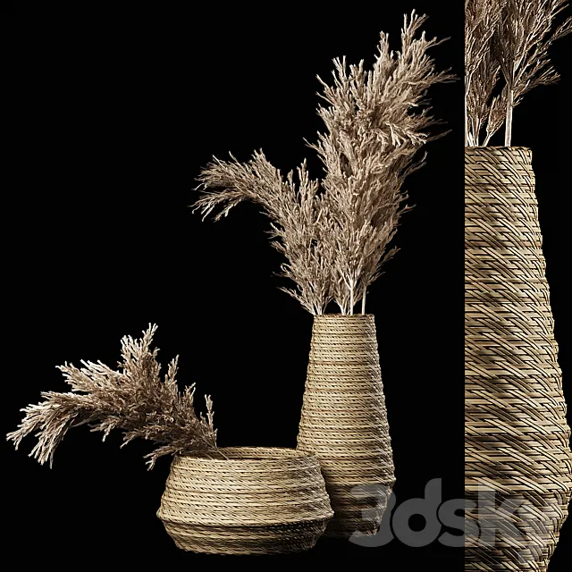 Dried Pampas Bouquet in Rattan Wicker Vases 3DModel Dried Pampas Bouquet in Rattan Wicker Vases 3DModel