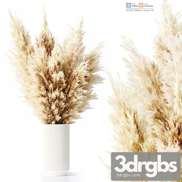 Dried Pampas Grass 02 3D Model Download Dried Pampas Grass 02 3D Model Download