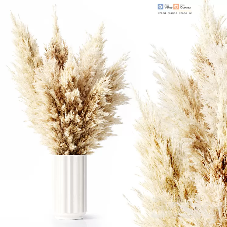 Dried Pampas Grass 02 3D Model Free Download