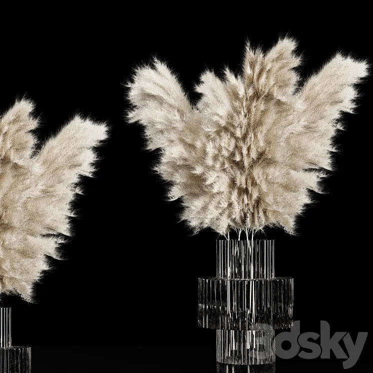 Dried Pampas Plant 3D Model Free Download