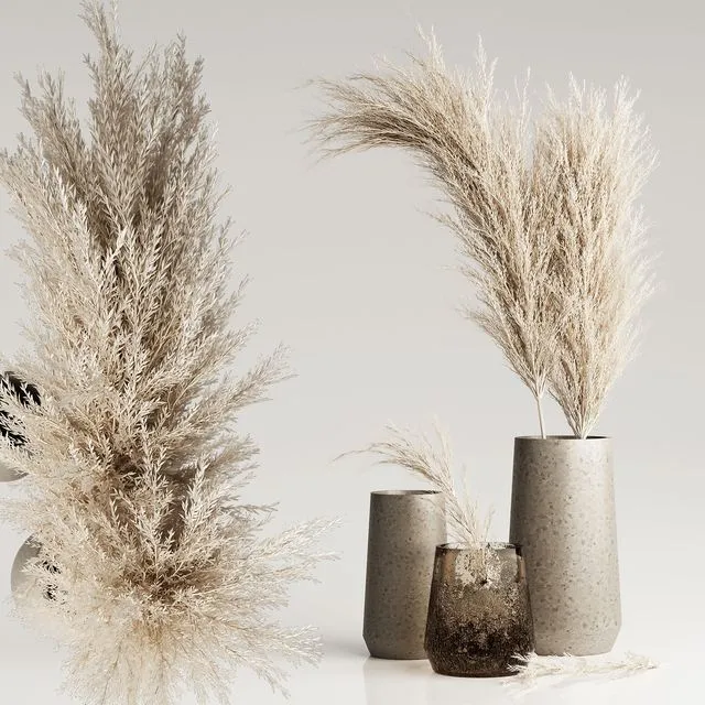 Dried Pampas Plant in Vases 3D Model Dried Pampas Plant in Vases 3D Model