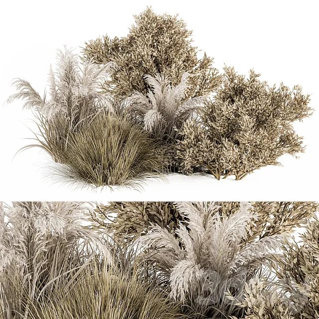 Dried Wild Plants Bush – Bush Set 36 3D Model