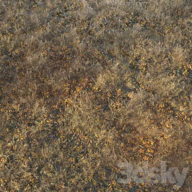 Dry autumn grass 3D Model Dry autumn grass 3D Model
