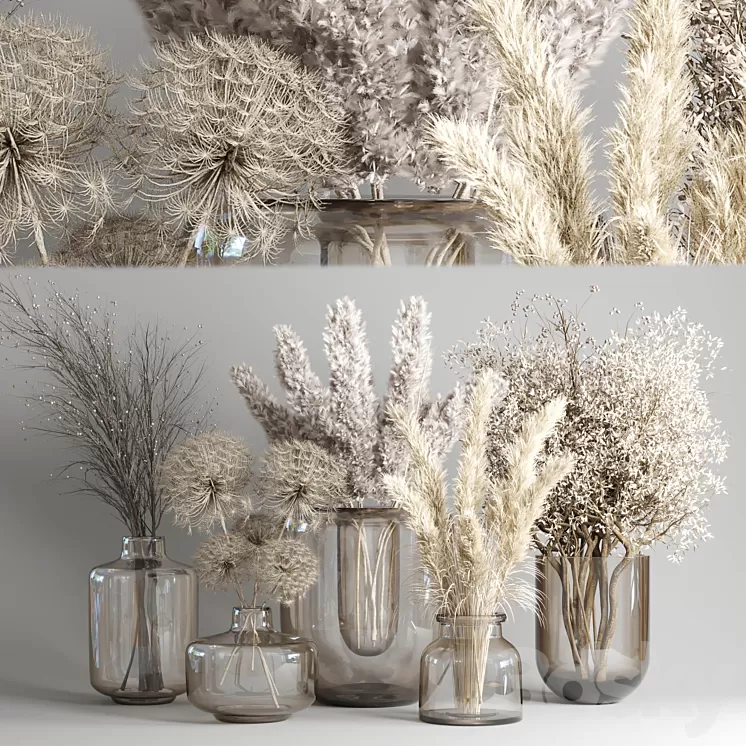 Dry Bouquet Collection 05 – Dried autumn plants and flowers 3D Model Free Download
