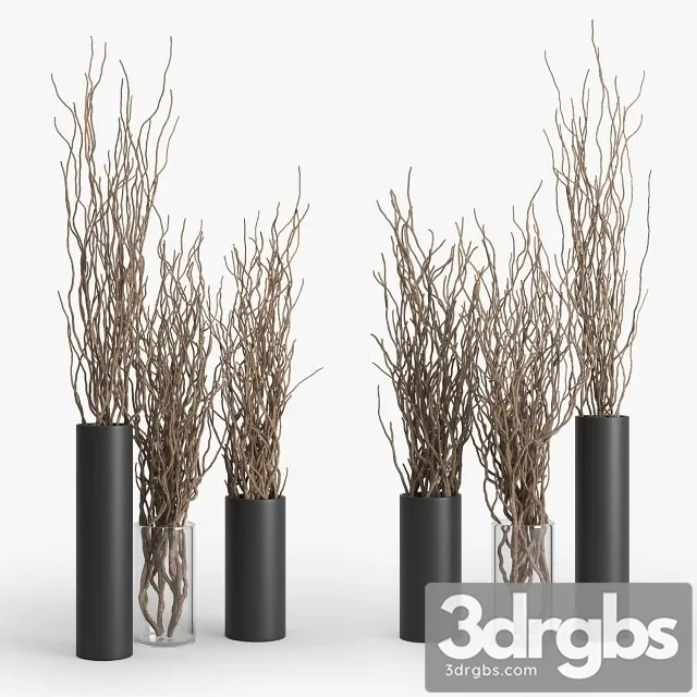 Dry Branch 3D Model Download Dry Branch 3D Model Download
