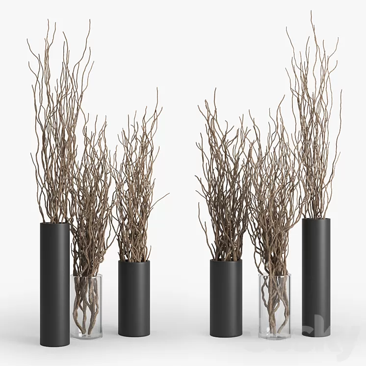 Dry Branch 3D Model Free Download
