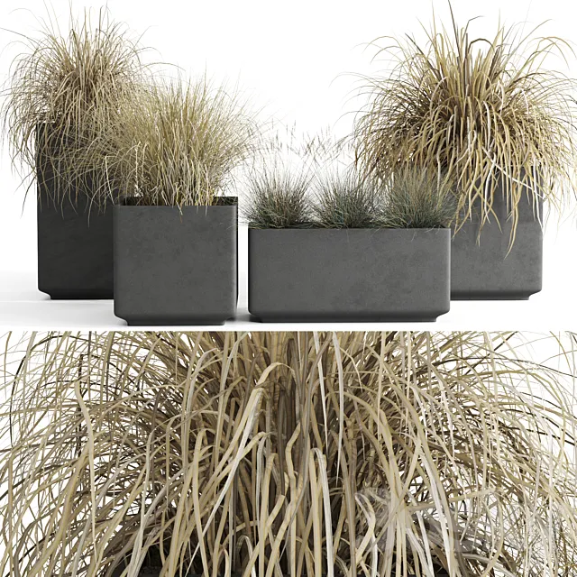 Dry decorative cereals in pots 3DModel