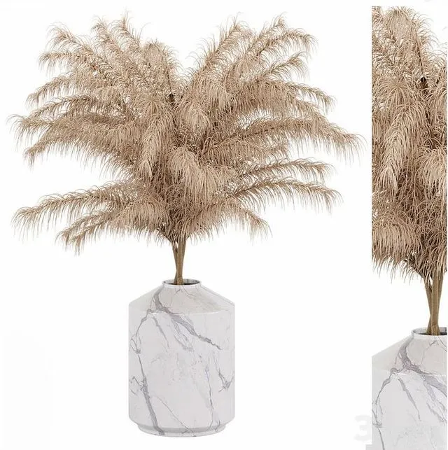 Dry Flower 3D Model Dry Flower 3D Model