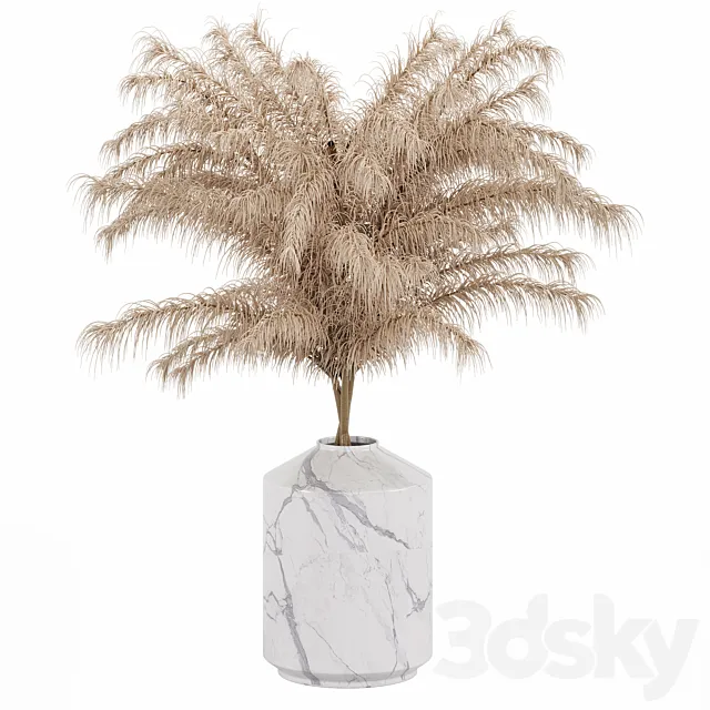 Dry Flower 3D Model Dry Flower 3D Model