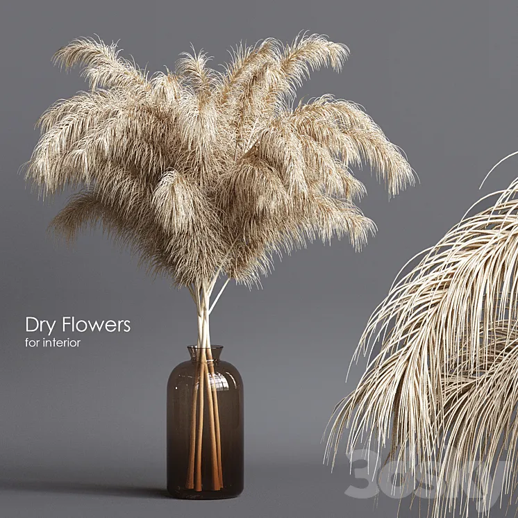 Dry flowers 03 3D Model Free Download