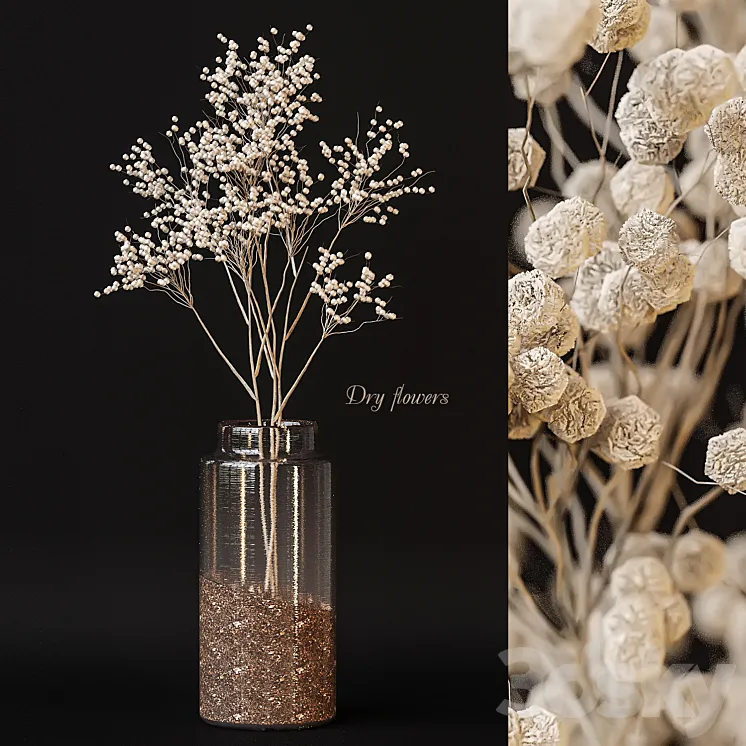 Dry flowers 3D Model Free Download Dry flowers 3D Model Free Download