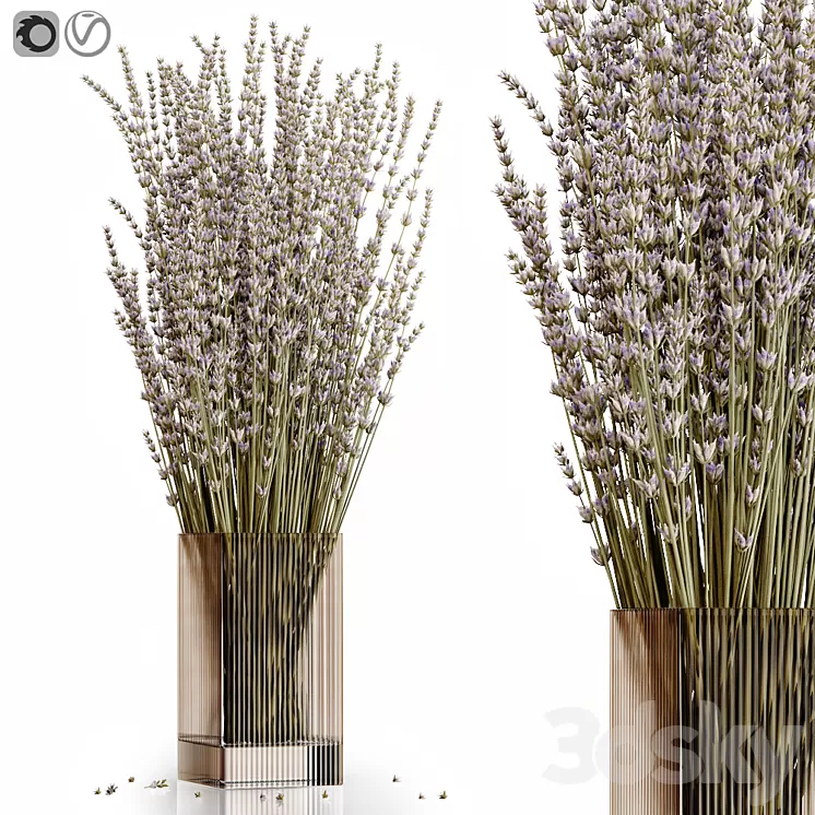 Dry flowers 5 lavender 3D Model Free Download Dry flowers 5 lavender 3D Model Free Download
