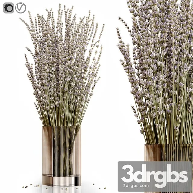 Dry flowers 5 lavender Dry flowers 5 lavender