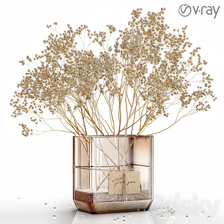 Dry flowers 6 VRAY 3D Model Free Download Dry flowers 6 VRAY 3D Model Free Download