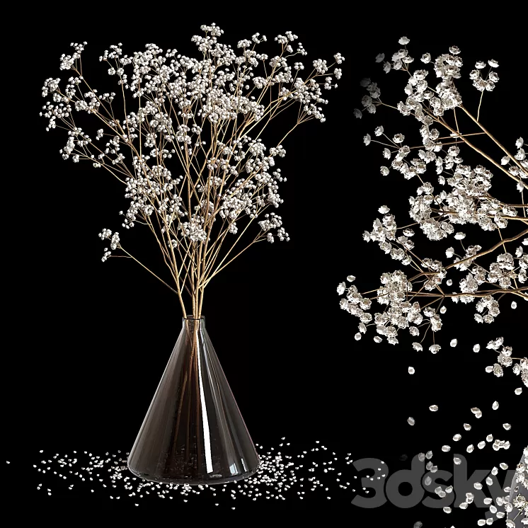 Dry Flowers_2 3D Model Free Download