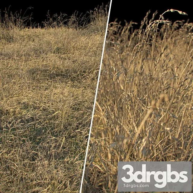 Dry Grass 1 3D Model Download Dry Grass 1 3D Model Download