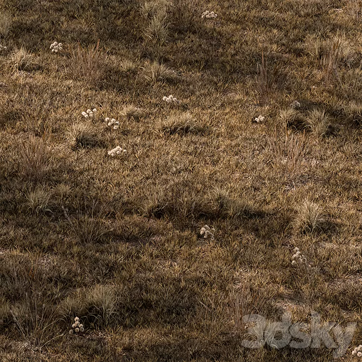 Dry Grass Set 16 3D Model Free Download