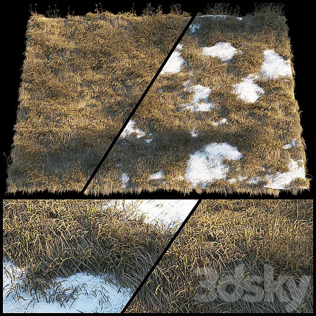 Dry grass | Thaw pollen 3D Model Dry grass | Thaw pollen 3D Model
