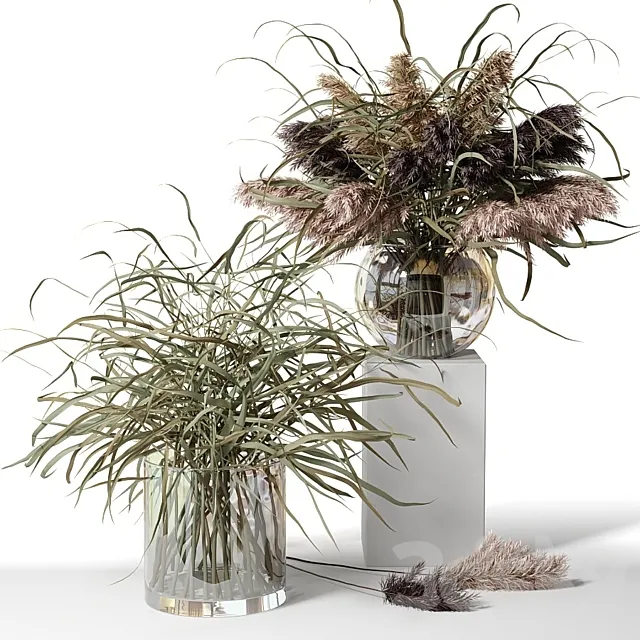 Dry herb bouquets in glass vases 3DModel