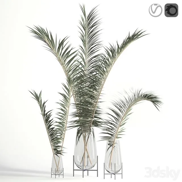 Dry palm leaves in Echasse vases 3D Model