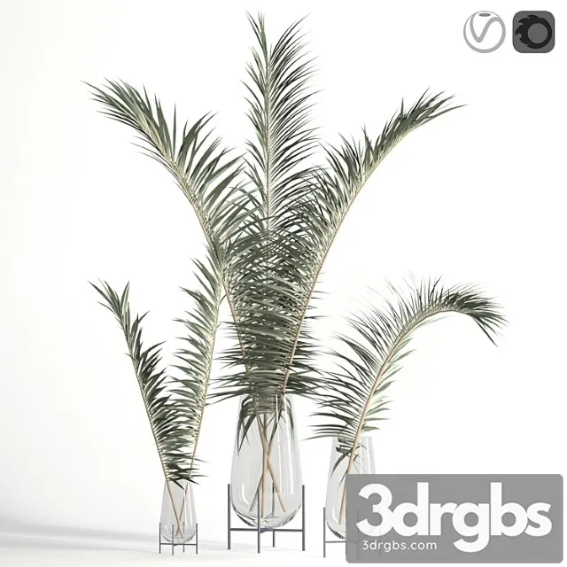 Dry palm leaves in echasse vases Dry palm leaves in echasse vases