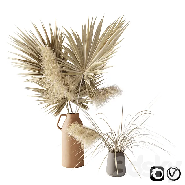 Dry palms and pampas 3DModel Dry palms and pampas 3DModel