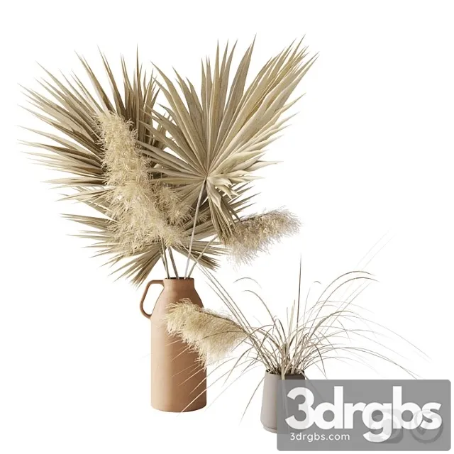 Dry palms and pampas Dry palms and pampas