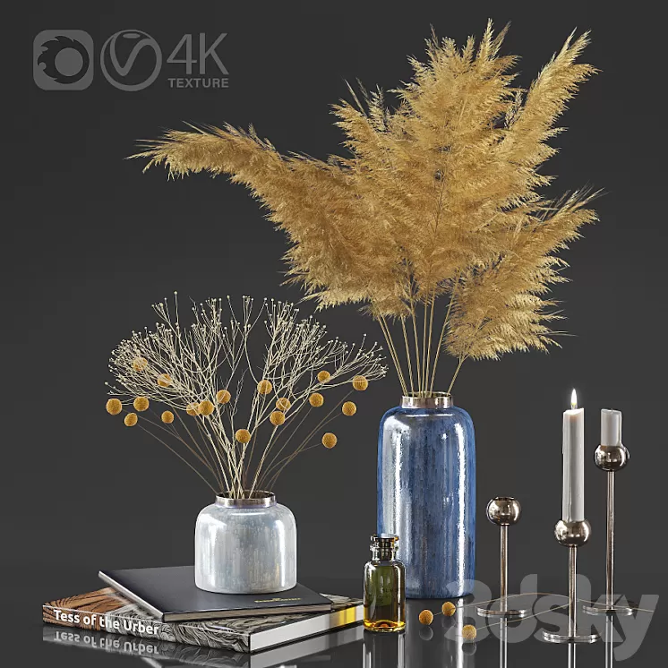 Dry plant decor set 3D Model