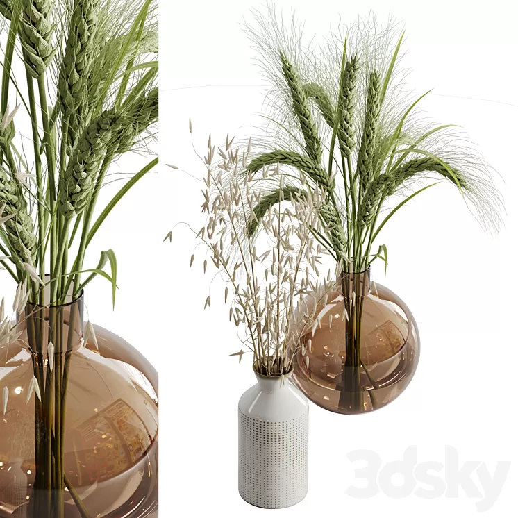 Dry plant set 02 3D Model Free Download