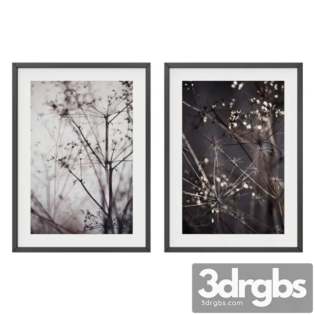 Dry plant set 3D Model Download Dry plant set 3D Model Download