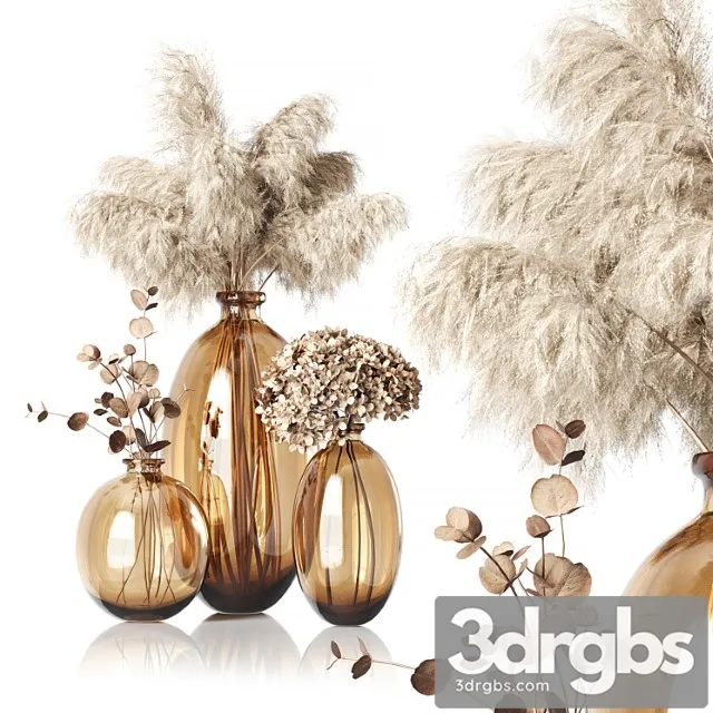 Dry Plants 02_1 Dry Plants 02_1