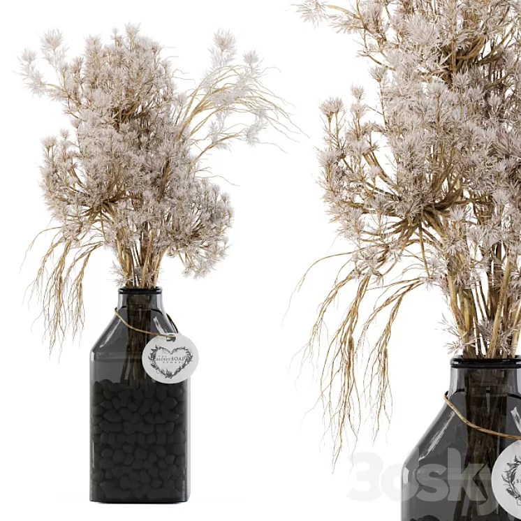 Dry plants 09 3D Model