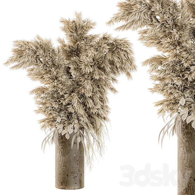 Dry Plants 19 3D Model