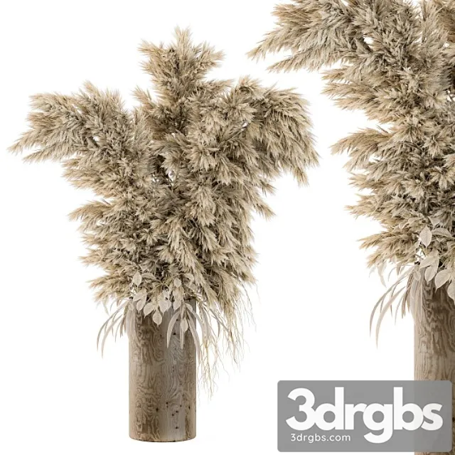 Dry plants 19 Dry plants 19