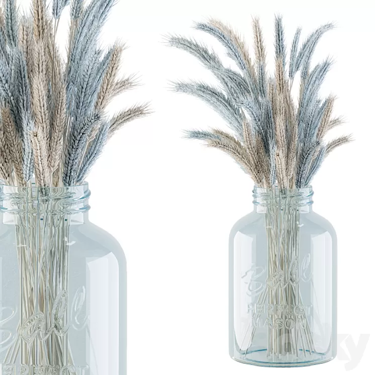 Dry Plants 20 – Blue and Cream Wheat in jam Glass 3D Model