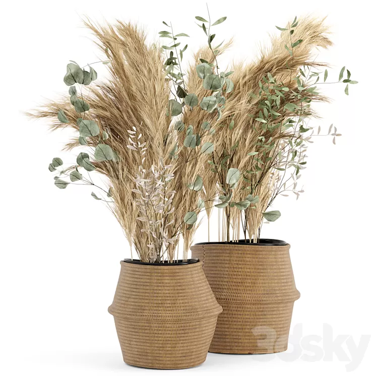 Dry plants 20 – Dried Plantset Pampas set with Wicker Basket 3D Model