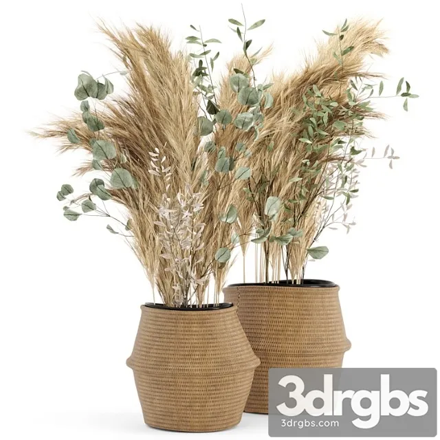 Dry plants 20 – dried plantset pampas set with wicker basket Dry plants 20 – dried plantset pampas set with wicker basket