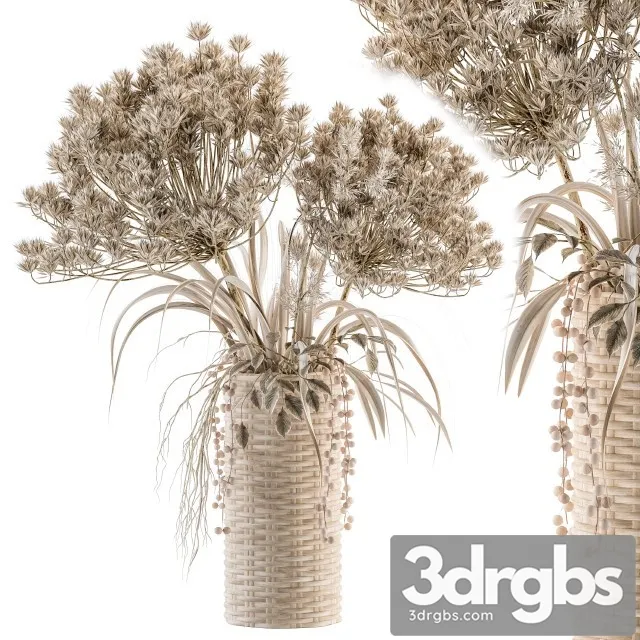 Dry Plants 22 3D Model Download Dry Plants 22 3D Model Download