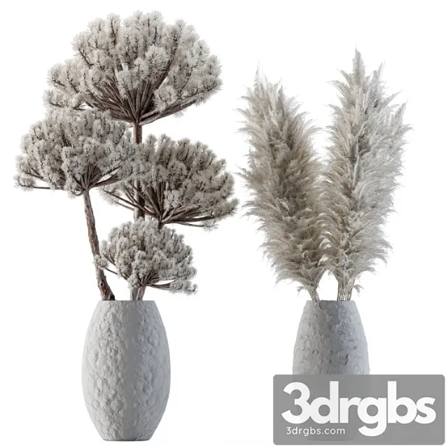 Dry plants 22 – big pampas asteroid pot Dry plants 22 – big pampas asteroid pot