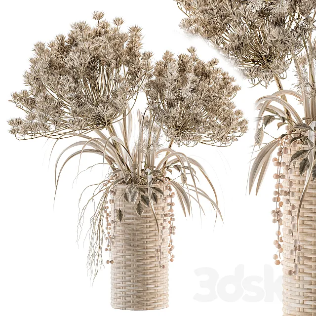 Dry plants 22 – dried Bouquet in Wicker Basket Vase 3D Model