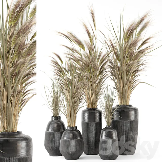 Dry plants 25 – Dried Plantset in handmade vase 3D Model Dry plants 25 – Dried Plantset in handmade vase 3D Model