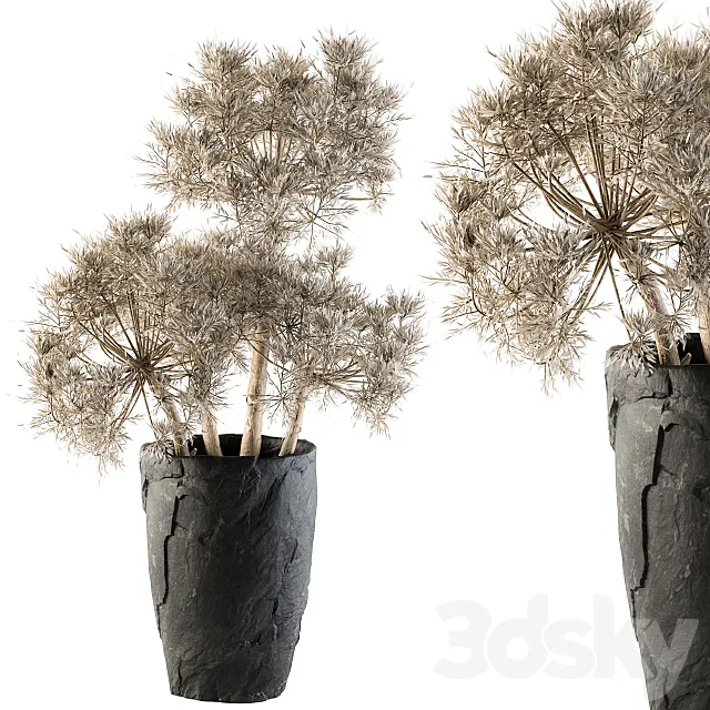 Dry plants 32 – Dried Plant 3DModel