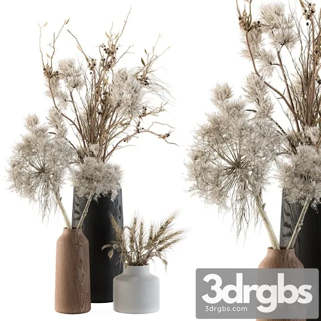 Dry plants 33 – pampas and dried branch Dry plants 33 – pampas and dried branch