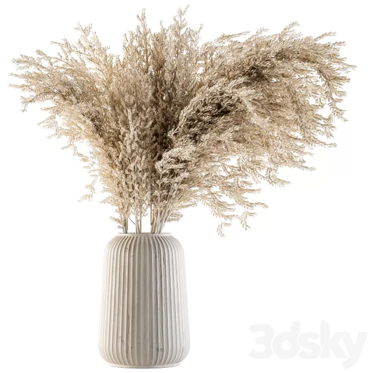 Dry plants 36 – Dried Plant Pampas 3D Model