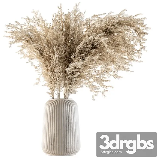 Dry plants 36 – dried plant pampas Dry plants 36 – dried plant pampas