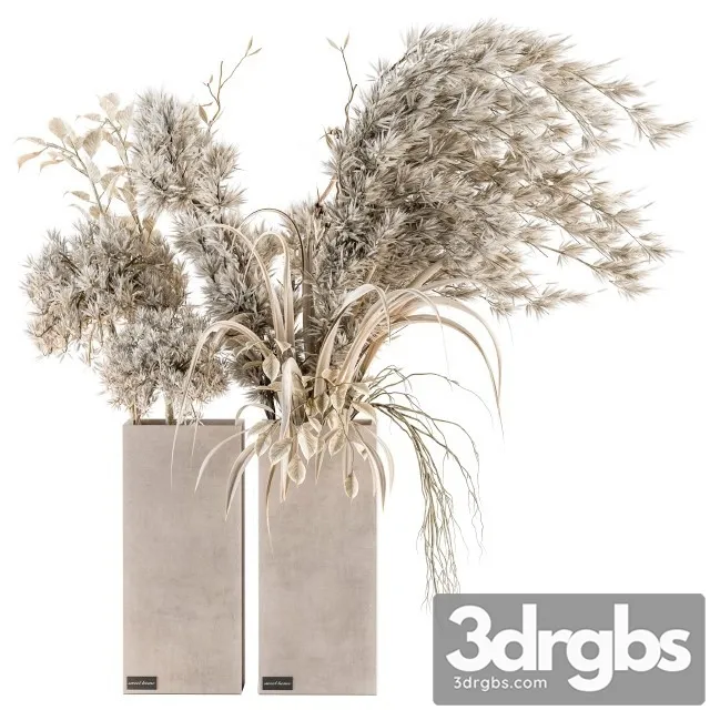 Dry Plants 39 Dried Plant Pampas 3D Model Download Dry Plants 39 Dried Plant Pampas 3D Model Download