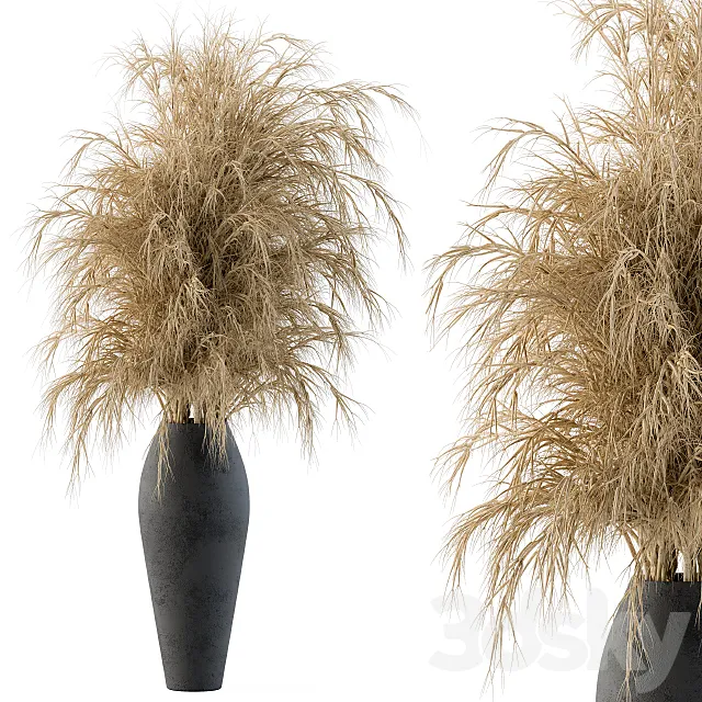 Dry plants 3D Model Dry plants 3D Model