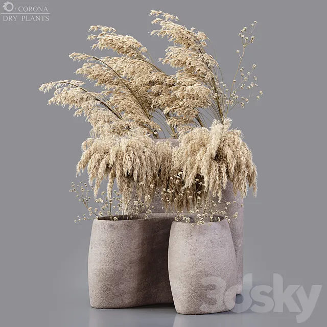 Dry plants 3D Model Dry plants 3D Model